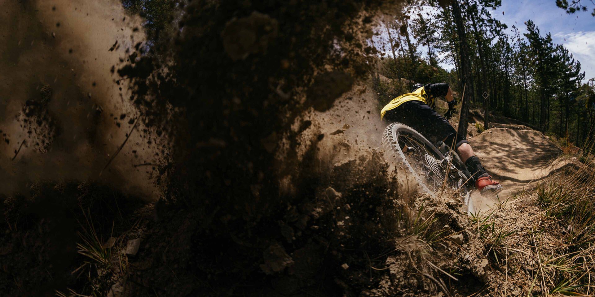 Canyon Torque:ON Canyon Torque:ON
