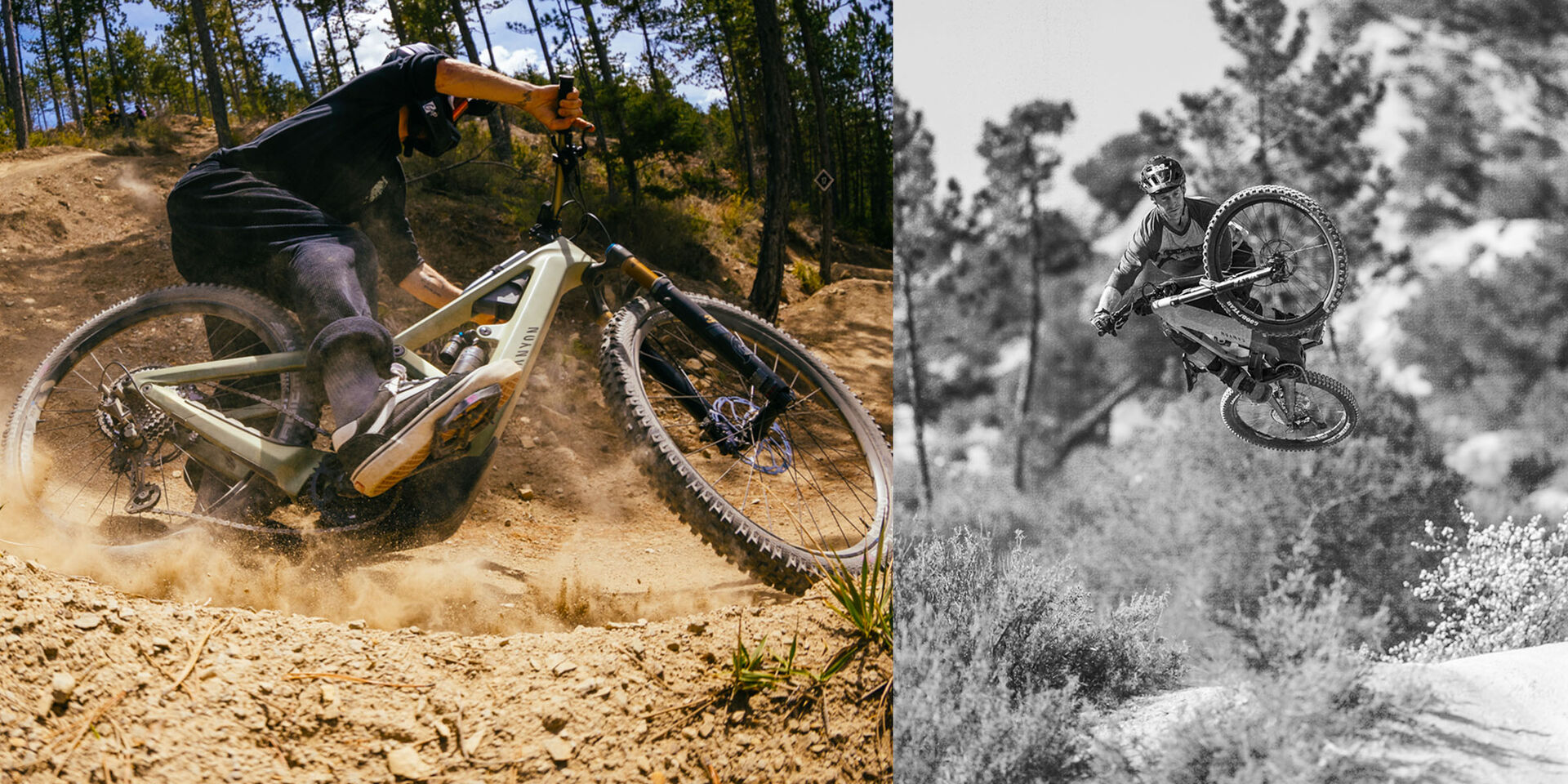 Canyon Torque:ON CF